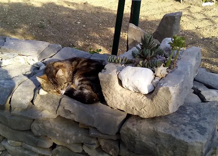 Villa Volicija Makarska