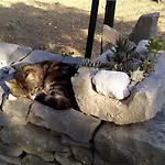 빌라 Volicija 마카르스카