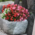 Volicija 빌라 마카르스카