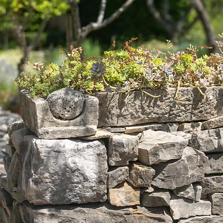 فيلة Volicija ماكارسكا