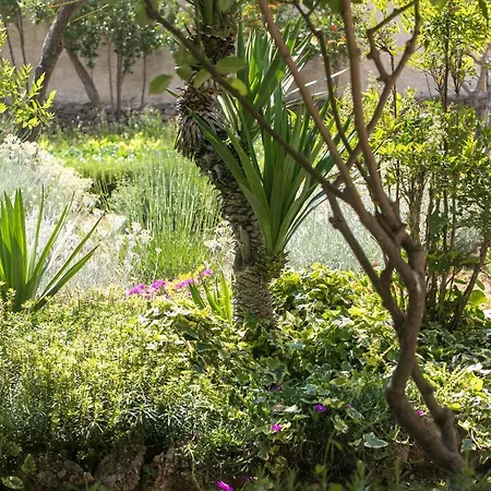 Volicija * ماكارسكا