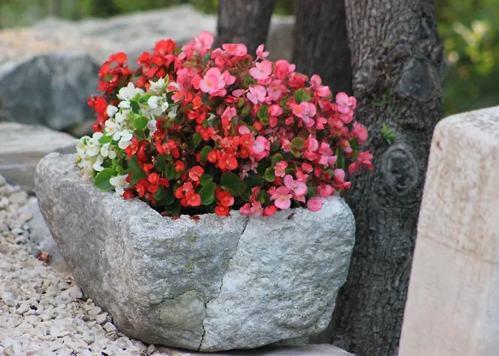 Volicija Villa Makarska