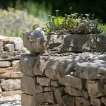 Vila Volicija Makarska